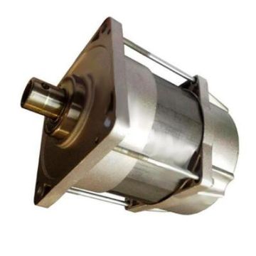 CAME Ersatz-Drehtormotoreinheit FERNI F1024 – 119RID095