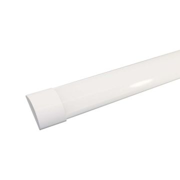/2/0/203556-p1.jpg