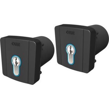 CAME-Paar versenkter Schlüsselwähler SELD2K01, gleicher DIN-Schlüssel 8K06SL-005