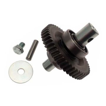 CAME 119RID229 langsame Welle für Motoren der FAST-Serie