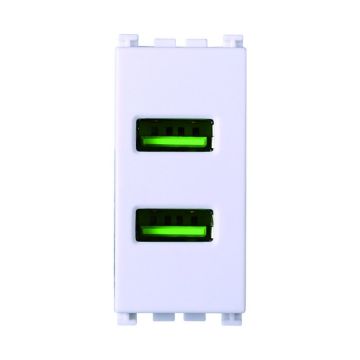 ETTROIT USB-Buchse, USB-Ladegerät, 5 V, 2,1 A, 2 USB-A-Anschlüsse, Farbe Weiß, kompatibel mit Vimar Arke VA2402B